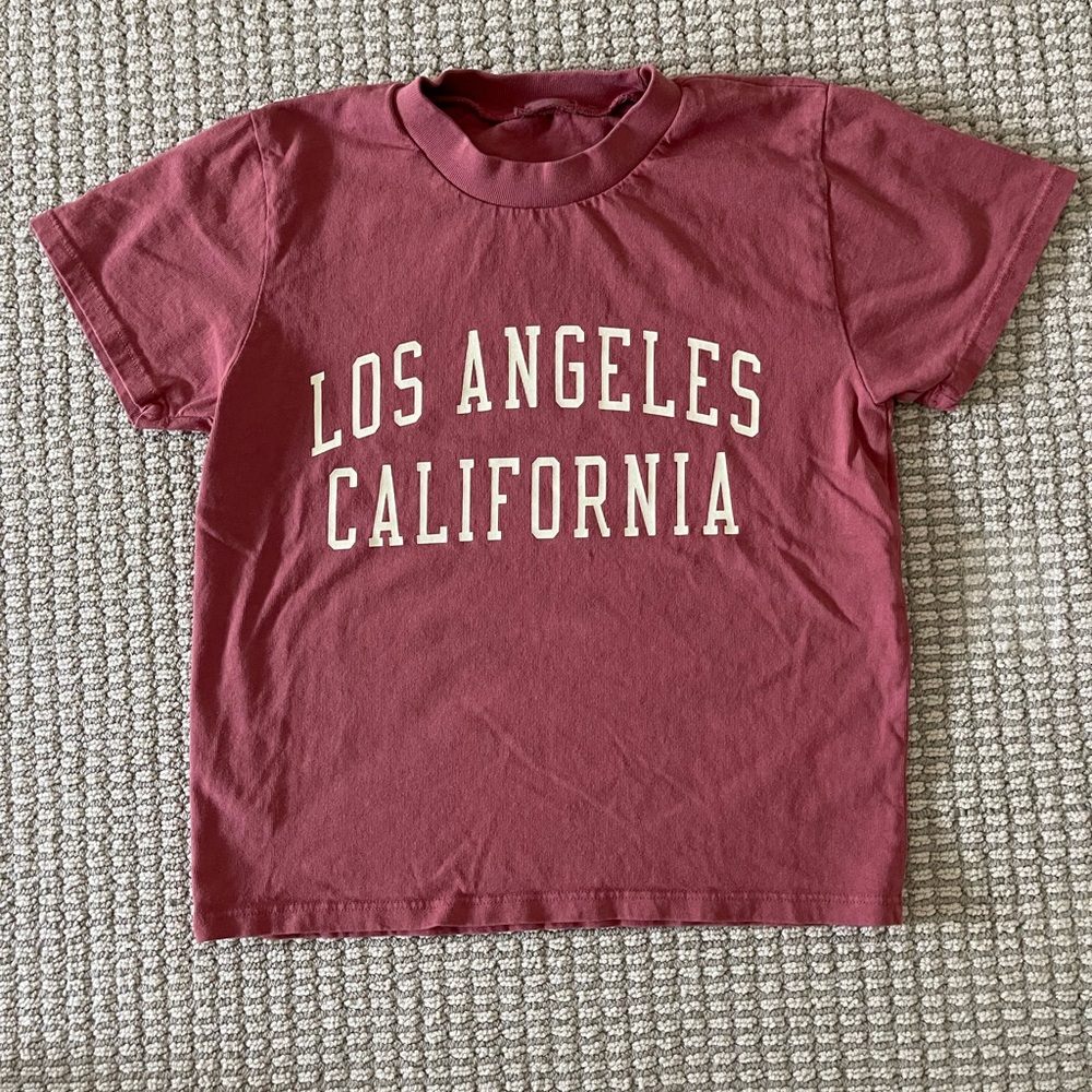 John Galt Cropped washed out Maroon colored T Shirt